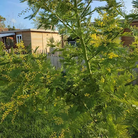 Дом отдыха Colonids 2 *