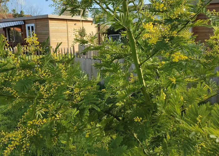 Vakantiehuis Colonids 2 *